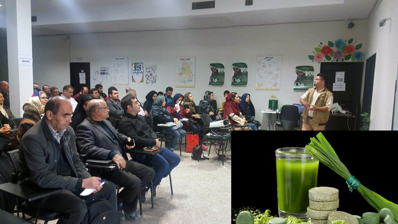 آشنایی با کسب و کارهای متنوع در «راهش اینه»/استقبال از کارگاههای آموزشی