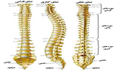 بیماری های ستون فقرات موضوع امروز«دکتر سلام»